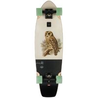 Globe Wave Blazer Hoot Owl Cruiser Skateboard