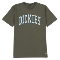 Dickies Longview Rinsed Moss T-Shirt