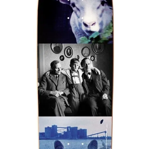 Polar Skate Co Team I Like It Here Sheep In Motion P9 Shape 8.625 Skateboard Deck