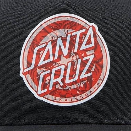 Santa Cruz Decoder Roskopp Black Trucker Hat