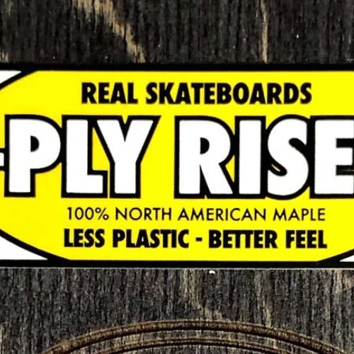 Real Universal 1/8 Skateboard Riser
