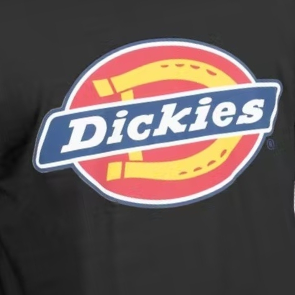 Dickies H.S Classic Black T-Shirt [Size: S]