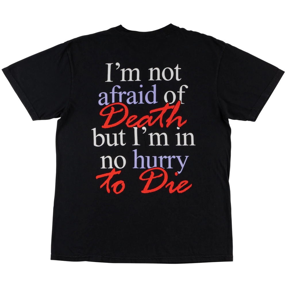 Welcome Skateboards Void Garment Dyed Black T-Shirt