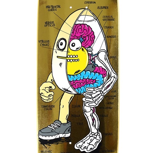 Heroin Anatomy Egg Gold 8.75 Skateboard Deck