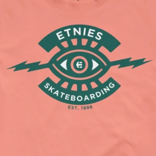 Etnies JW Wash Rose T-Shirt