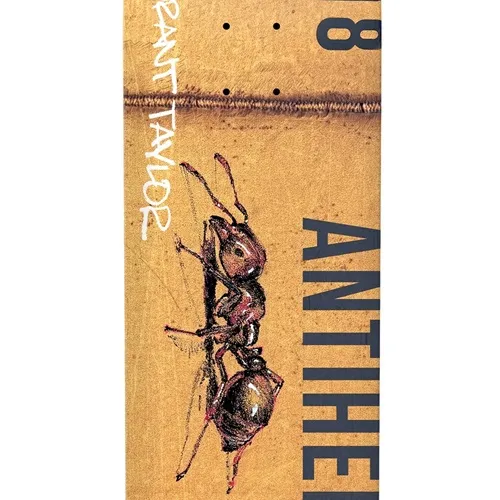 Anti Hero Taylor Intermodal 8.32 Skateboard Deck