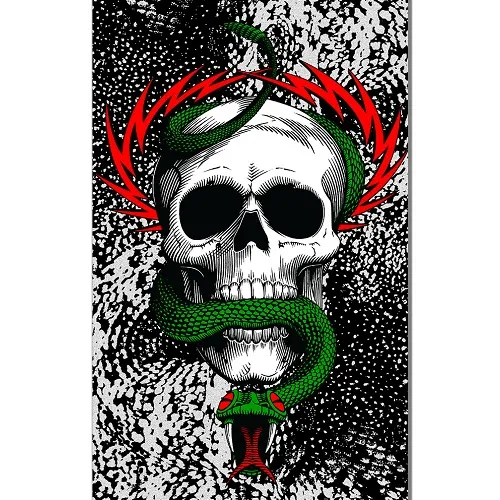 Powell Peralta McGill Skull & Snake Clear 10.5 x 33 Skateboard Grip Tape Sheet