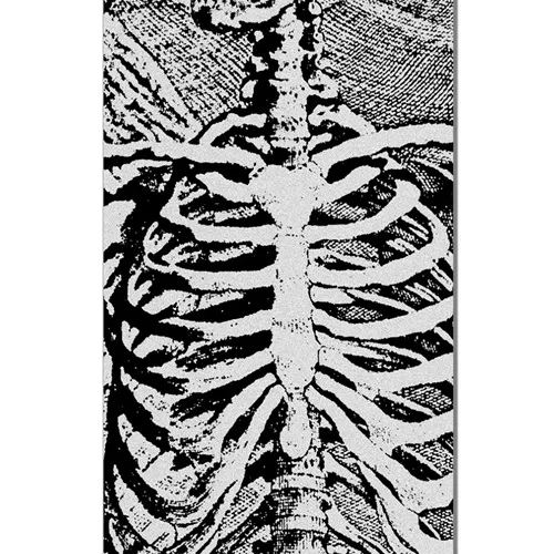 Powell Peralta Skull & Sword Skeleton Clear 10.5 x 33 Skateboard Grip Tape Sheet