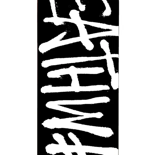 Deathwish Deathspray Black White 8.38 Skateboard Deck