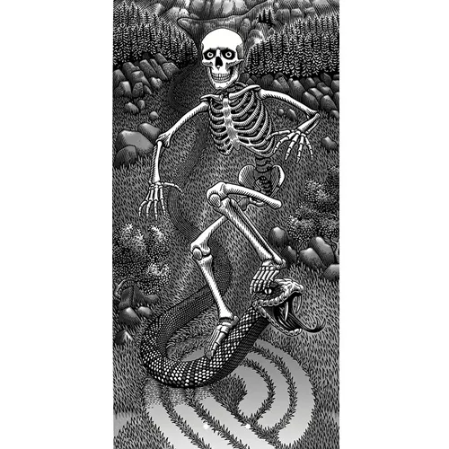 Powell Peralta Flight JM Duran Slidewinder 5 Shape 266 8.88 Skateboard Deck