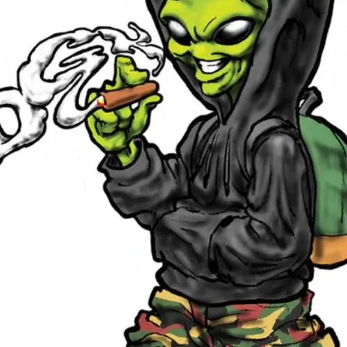 Dgk Martian Skateboard Sticker