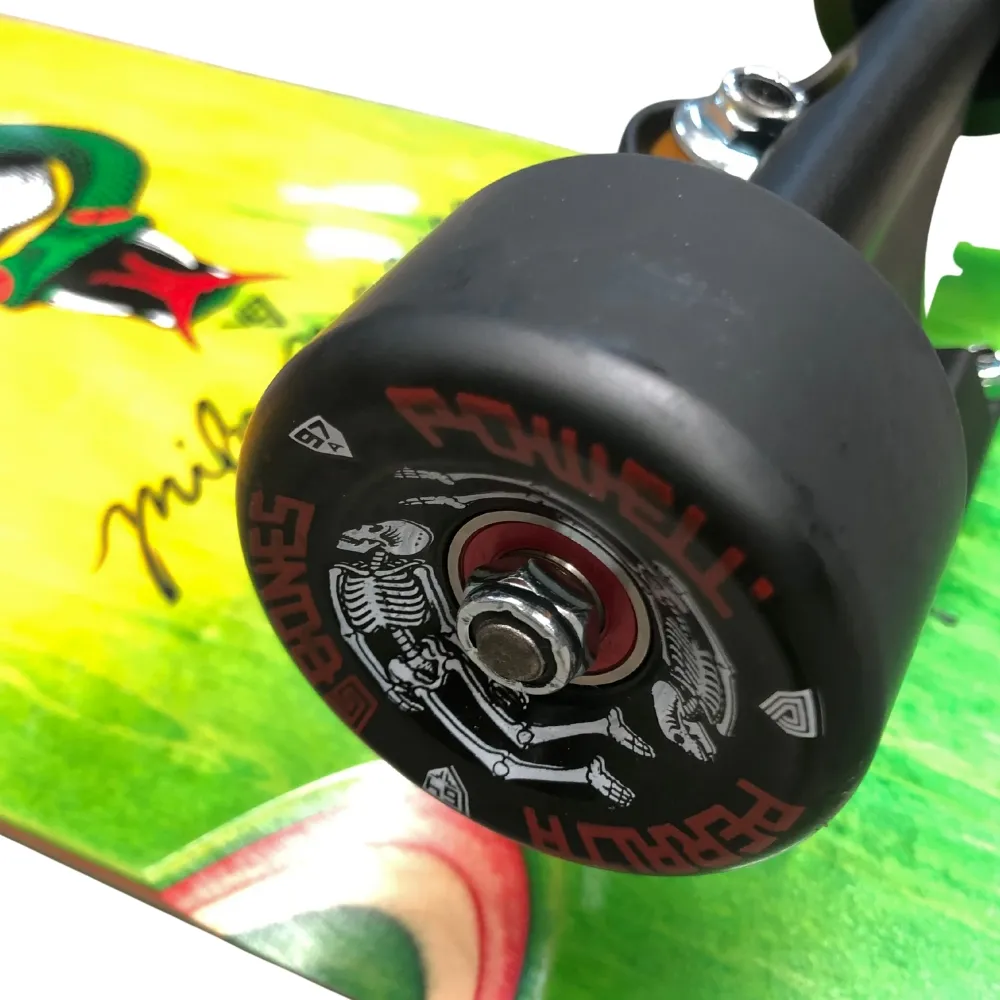 Kick Push Powell Peralta McGill OG Skull Rasta Fade 10.0 Custom Complete Skateboard