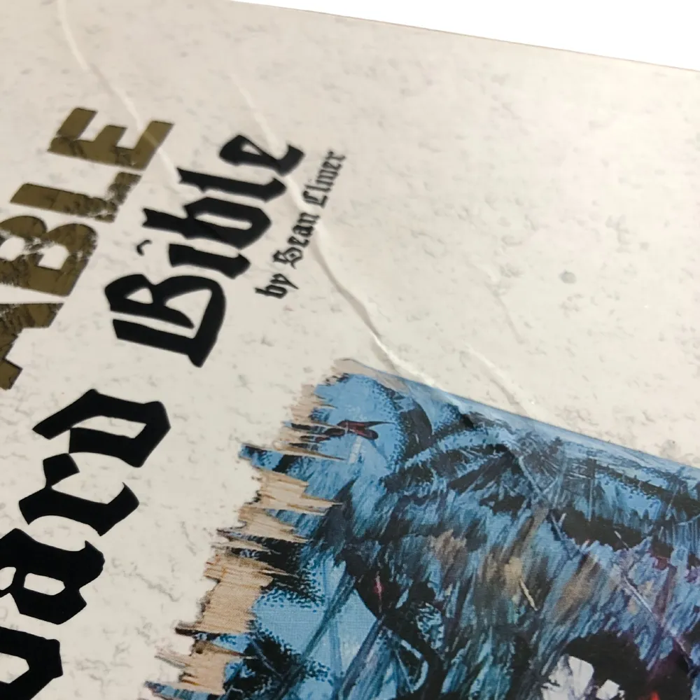 Disposable Skateboard Bible 10 Year Anniversary Book Slightly Scuffed