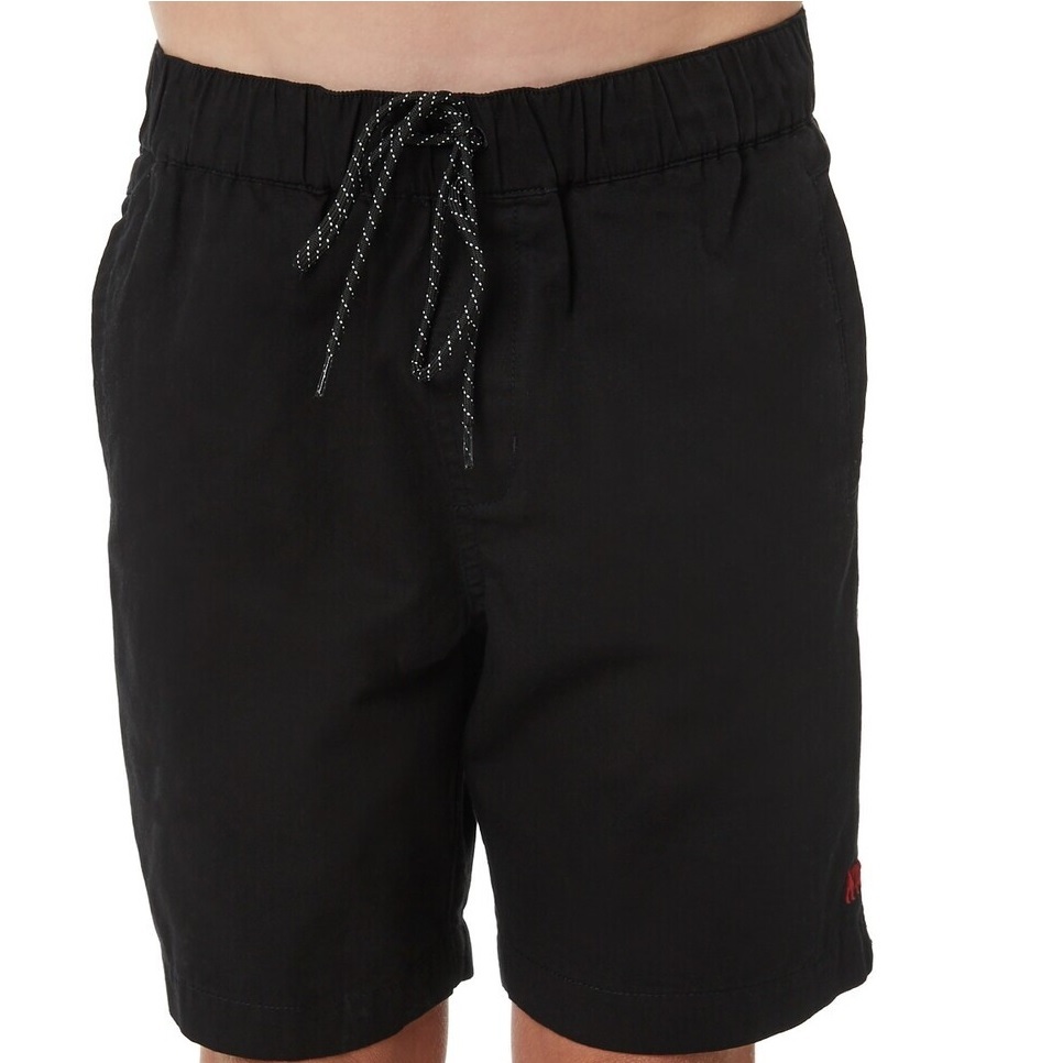 Element CA Bear Walkshort Flint Black Shorts [Size: 30]