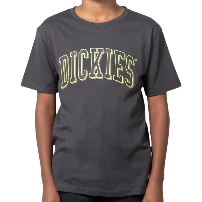 Dickies Longview Charcoal Youth T-Shirt [Size: 8]