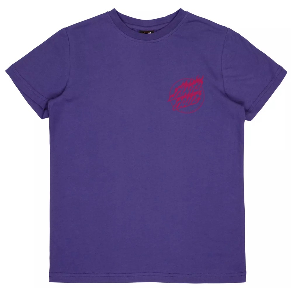 Santa Cruz X Pokemon Fire Type 1 Purple Youth T-Shirt [Size: 8]