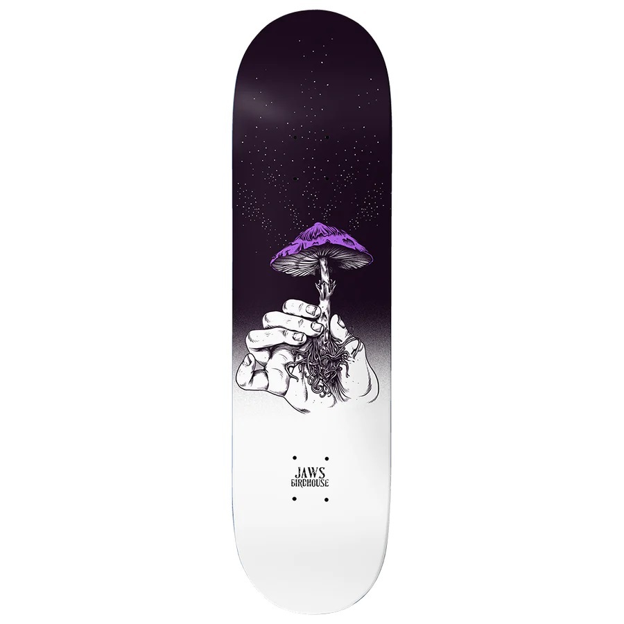Birdhouse Teacher Jaws 8.25 Skateboard Deck
