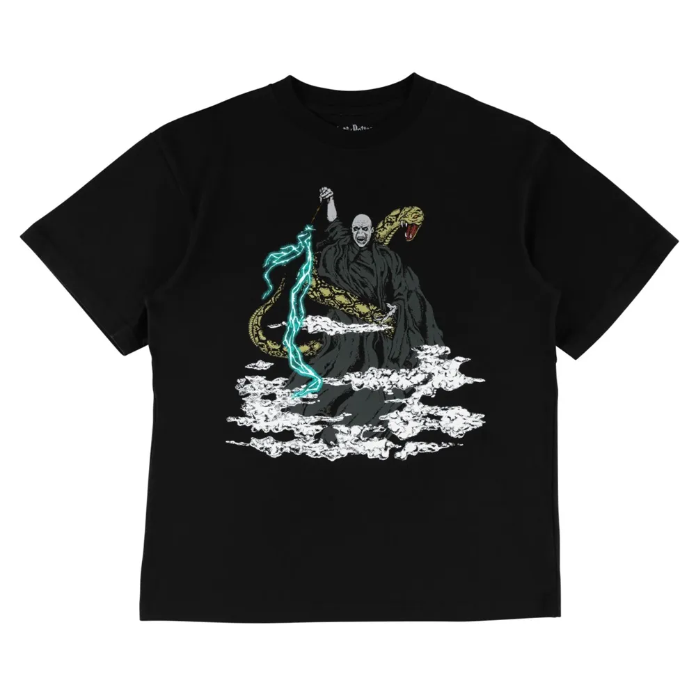 Welcome Skateboards X Harry Potter Voldemort Garment Dyed Boxy Black T-Shirt [Size: L]