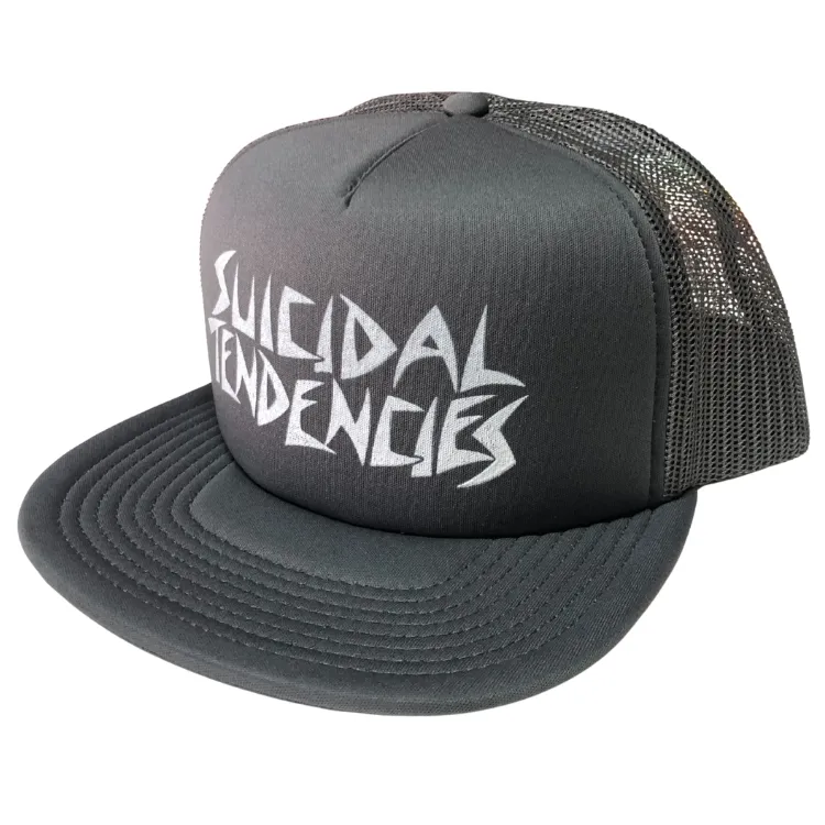 Dogtown Suicidal Skates Tendencies Possessed Flip Mesh Grey Hat