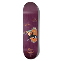 Girl We Must Visualize WR41 Bannerot 8.0 Skateboard Deck