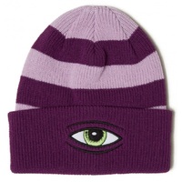 Toy Machine Beanie Sect Eye Stripe Purple