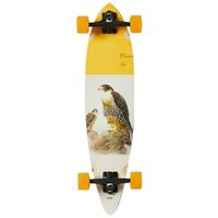 Globe Longboard Skateboard Pintail Falcon 34