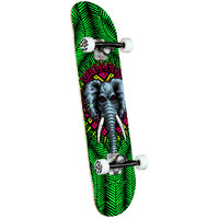 Powell Peralta Skateboard Complete Vallely Green 8.0