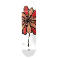 Girl Skateboard Deck Blooming WR41 Pacheco 8.375