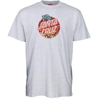 Santa Cruz T-Shirt Abduction Grey Marle Youth