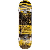 Z-Flex Don't Stop 8.25 Premium Complete Skateboard