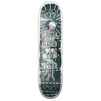 Verb Skateboard Deck Artist Series Mckay 8.325