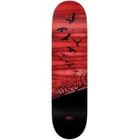 Real Skateboard Deck Set Free Spectrum 8.06