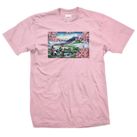 DGK Hush Pink T-Shirt