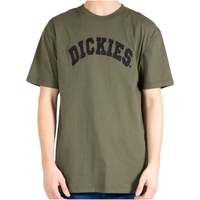 Dickies Princeton Rinsed Moss T-Shirt