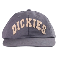 Dickies Princeton Charcoal Hat