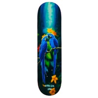 April Rayssa Leal Blue Macaw 8.25 Skateboard Deck