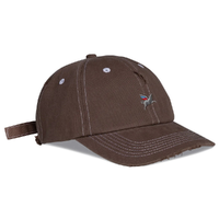 Ichpig Pigasus Washed Brown Dad Hat