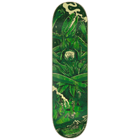 Creature Creashia Gravette 8.3 Skateboard Deck
