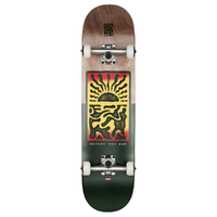 Globe G1 Sol Mates Summer Sun 8.0 Complete Skateboard
