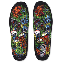 Remind X Santa Cruz Roskopp Face III Destin Insoles