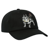 HUF 4 The Dawgs Black Snapback Hat