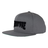 Creature Mono Logo Grey Snapback Hat