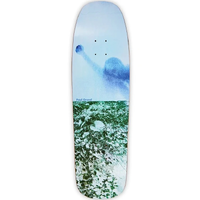 Polar Skate Co Paul Grund Man With Window 1992 Shape 9.25 Skateboard Deck