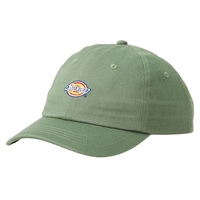 Dickies Hardwick Sea Spray Snapback Hat
