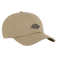 Dickies Essential Desert Sand Dad Hat