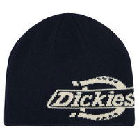Dickies Skull Night Sky Beanie