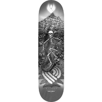 Powell Peralta Flight JM Duran Slidewinder 5 Shape 266 8.88 Skateboard Deck