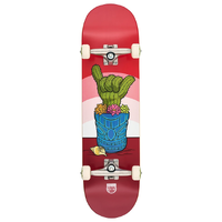 Deca Murphys Cactus Lookin Sharp 8.5 Complete Skateboard