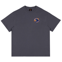 Santa Cruz Natas SC Panther Dark Grey Box Fit T-Shirt