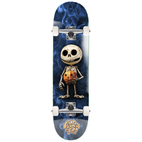Push Smokey Blue 7.25 Complete Skateboard